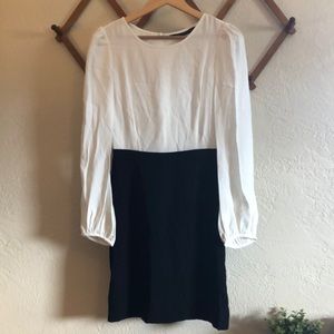 Zara Woman Black & White Dress - Size Small
